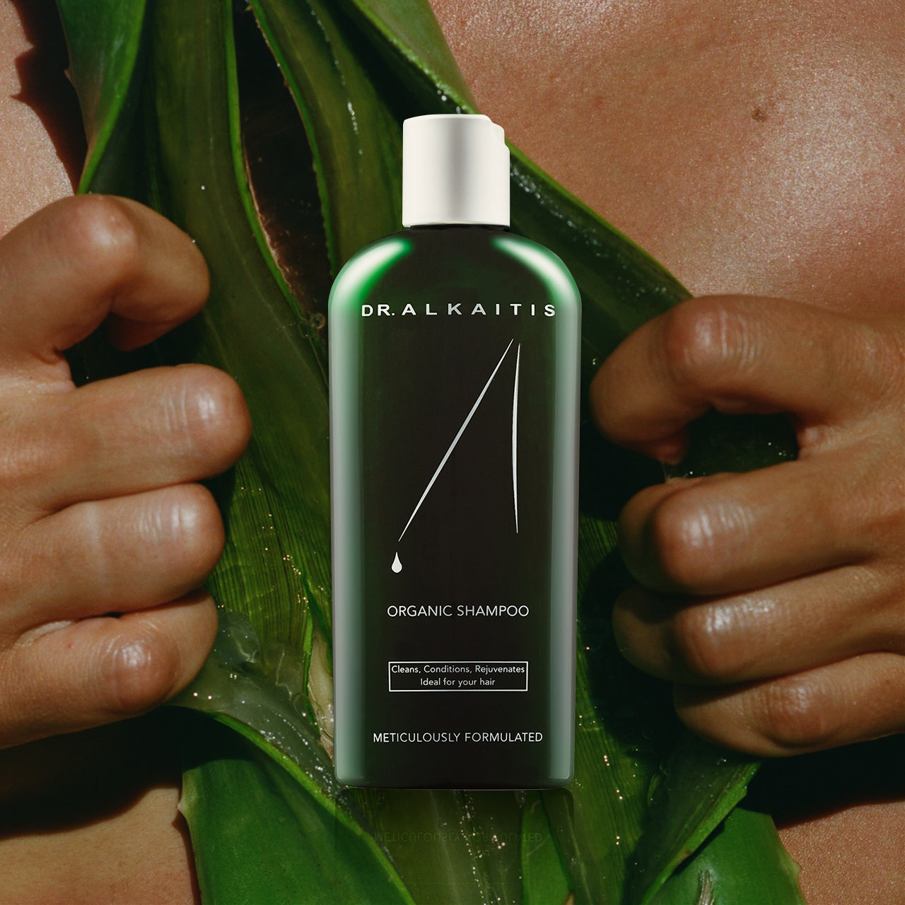Organic Herbal Shampoo Travel - Dr. Alkaitis Organics