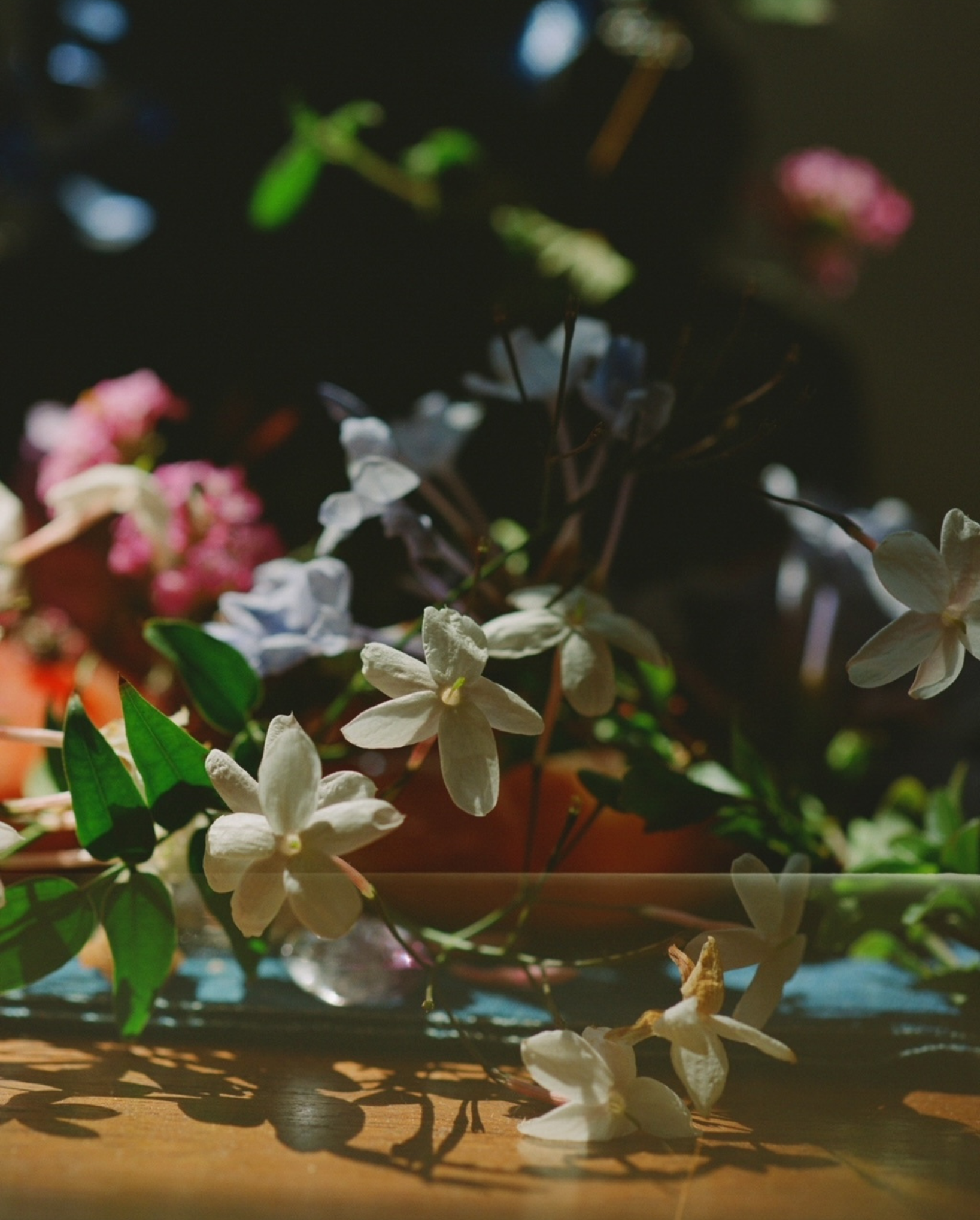 ROOTED IN NATURE, BLOSSOMING IN LEGACY: BEHIND-THE-SCENES PHOTOS CAPTURE THE MAGIC