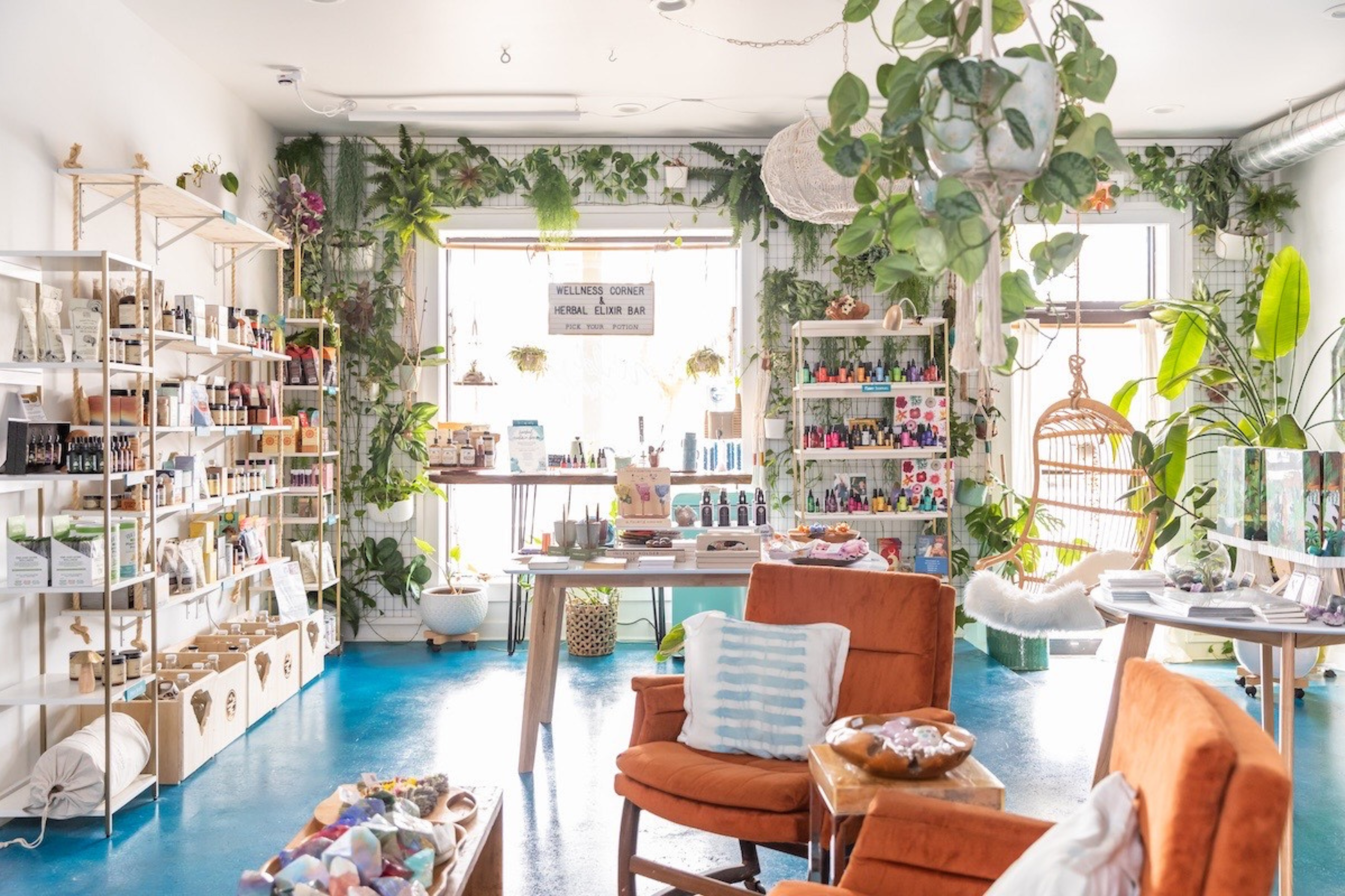 THE WILDCRAFT STORY: CULTIVATING HOLISTIC WELLNESS IN CHARLESTON