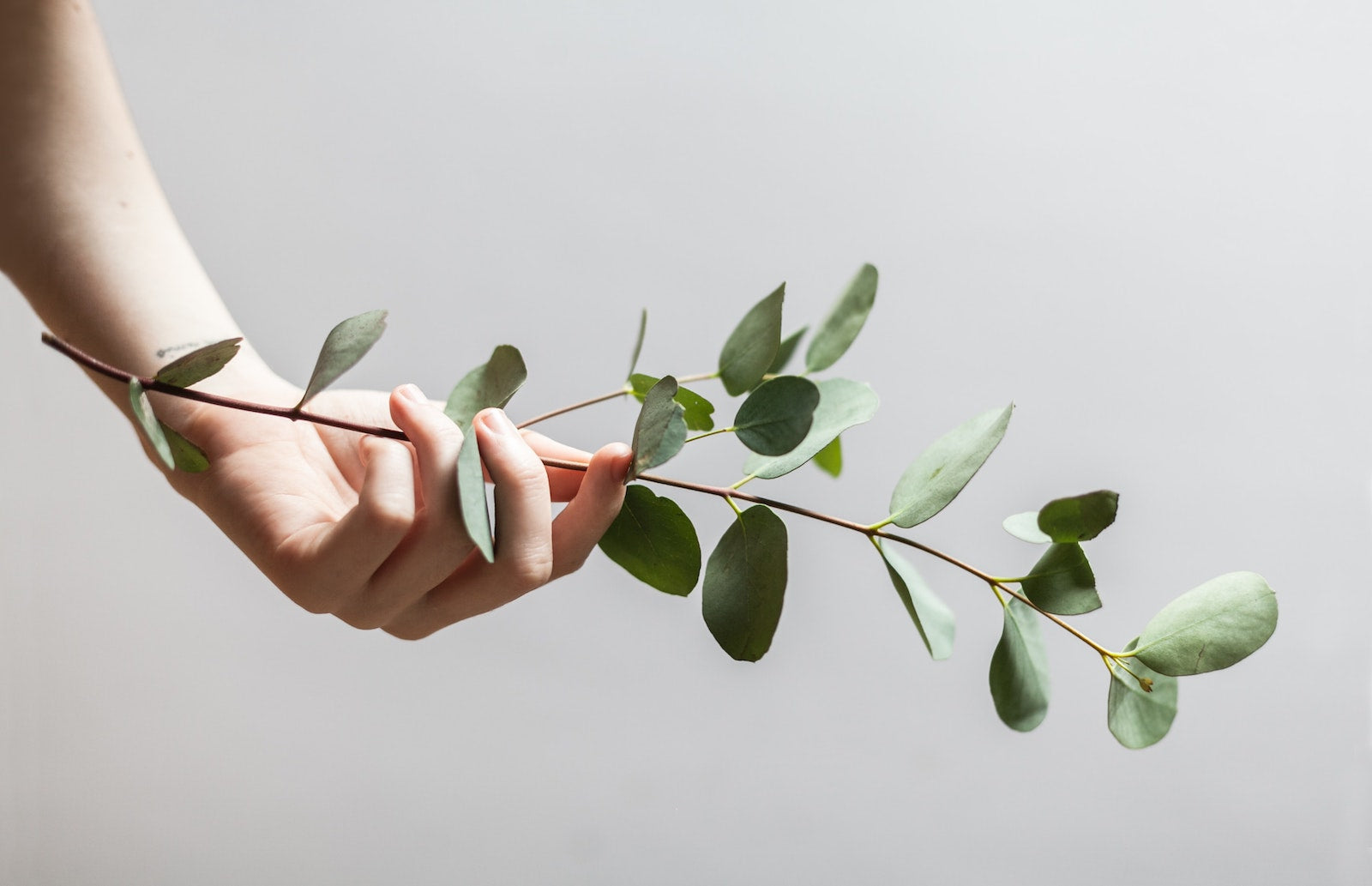 Introducing Nature's Anti-Microbial Hand Purifier