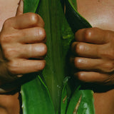 Aloe Vera - Ingredient in. the Dr. Alkaitis Organic Herbal Shampoo 